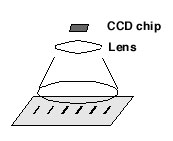 diagram of CCD - lens - chemiluminescent bands